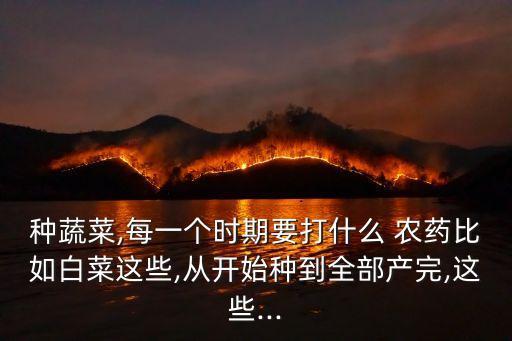 種蔬菜,每一個時期要打什么 農藥比如白菜這些,從開始種到全部產完,這些...