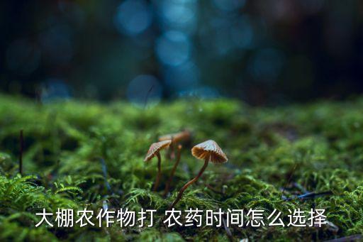 大棚農(nóng)作物打 農(nóng)藥時間怎么選擇
