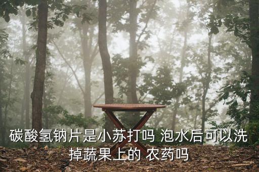 碳酸氫鈉片是小蘇打嗎 泡水后可以洗掉蔬果上的 農藥嗎