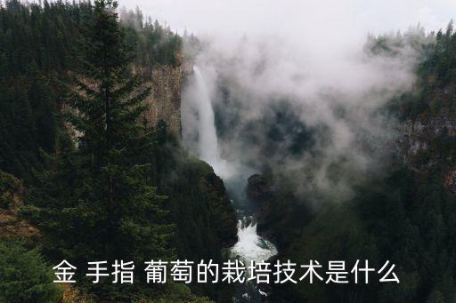 金 手指 葡萄的栽培技術是什么