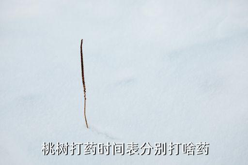  桃樹打藥時間表分別打啥藥