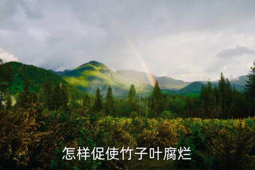 什么農(nóng)藥可以破壞竹根