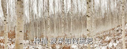 種菠菜打什么農(nóng)藥最好使,種什么不需要打農(nóng)藥