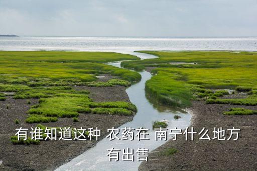 南寧農(nóng)藥市場在什么地方,南寧哪里有賣農(nóng)藥的地方