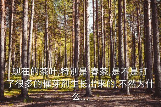春茶打的什么農藥,草莓一般打的什么農藥