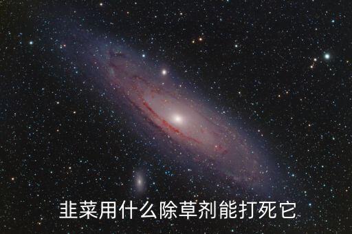  韭菜用什么除草劑能打死它