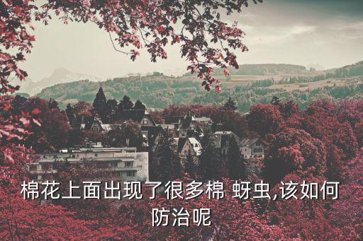 棉蚜蟲用什么農藥,蚜蟲用什么農藥效果好