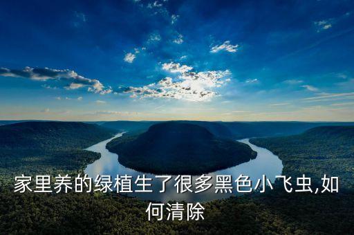 打什么農藥可以除掉小黑飛