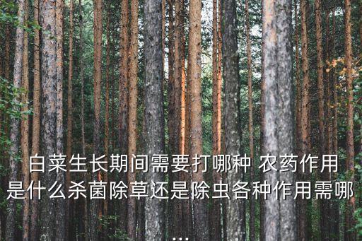 白菜生蟲噴什么農(nóng)藥,白菜治蟲用什么藥最有效