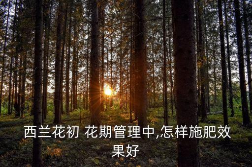  西蘭花初 花期管理中,怎樣施肥效果好