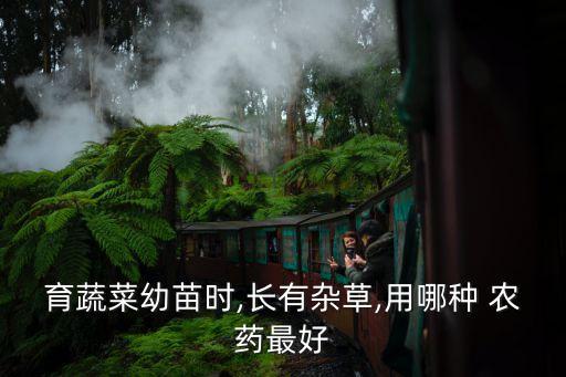 菜什么時間打農藥,菜打什么農藥最好用呢