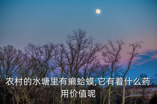 農村的水塘里有癩蛤蟆,它有著什么藥用價值呢