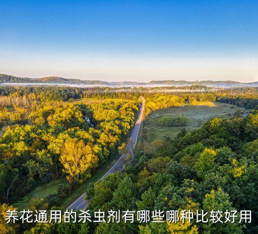 蟲害用什么農(nóng)藥最有效,蔥蟲害用什么農(nóng)藥打