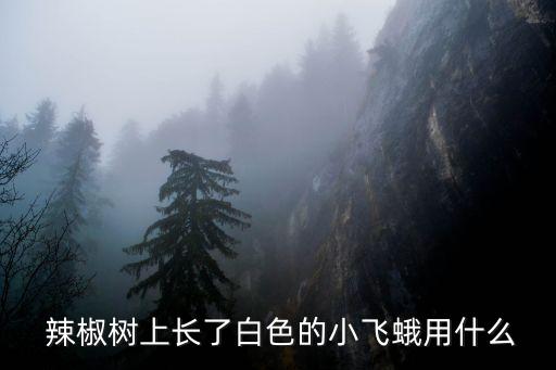  辣椒樹上長了白色的小飛蛾用什么