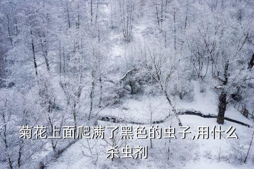 菊花一般打什么農藥,菊花需要打農藥嗎