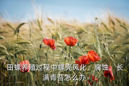  田螺養(yǎng)殖過(guò)程中螺殼風(fēng)化、腐蝕、長(zhǎng)滿(mǎn)青苔怎么辦