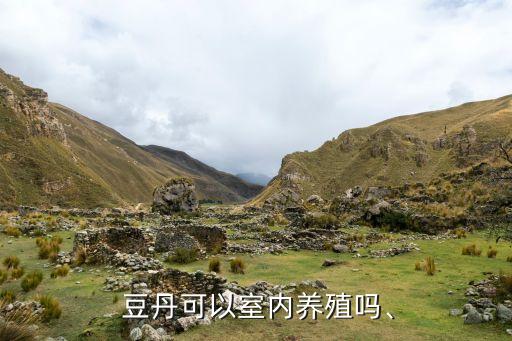  豆丹可以室內(nèi)養(yǎng)殖嗎、