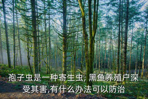 孢子蟲是一種寄生蟲, 黑魚養(yǎng)殖戶深受其害,有什么辦法可以防治