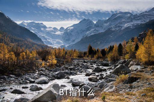 bt農藥是什么殺蟲劑