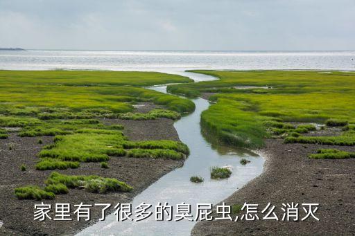 家里有了很多的臭屁蟲,怎么消滅