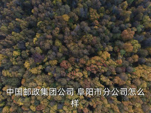 中國郵政集團公司 阜陽市分公司怎么樣