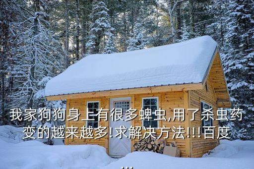 我家狗狗身上有很多蜱蟲,用了殺蟲藥變的越來越多!求解決方法!!!百度...