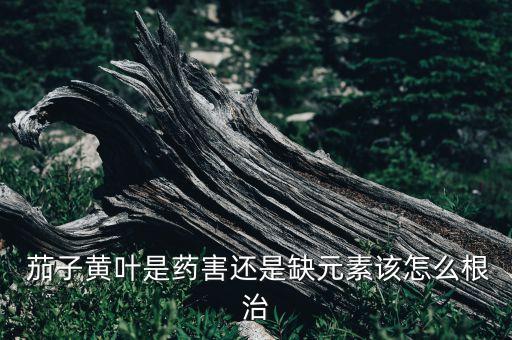 茄子黃霉病用什么農藥,葉霉病用什么農藥