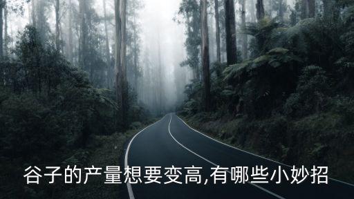 谷子的產量想要變高,有哪些小妙招