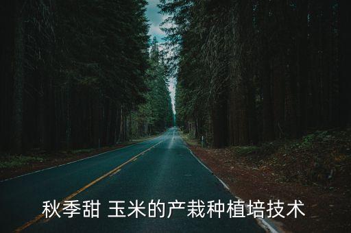 秋季甜 玉米的產栽種植培技術
