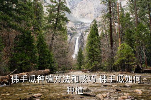 佛手子用什么農(nóng)藥噴施,佛手樹用什么農(nóng)藥