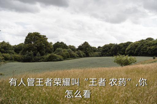 有人管王者榮耀叫“王者 農(nóng)藥”,你怎么看