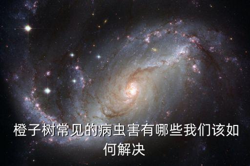 種橙子打什么農(nóng)藥好,橙子會不會打農(nóng)藥