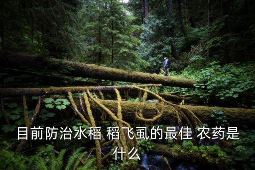 白色稻飛虱用什么農藥,稻飛虱用什么農藥好