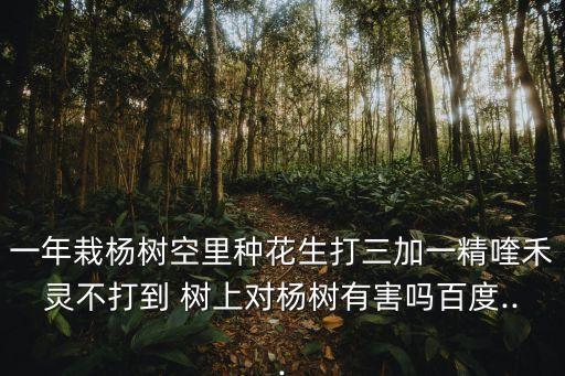 一年栽楊樹空里種花生打三加一精喹禾靈不打到 樹上對(duì)楊樹有害嗎百度...