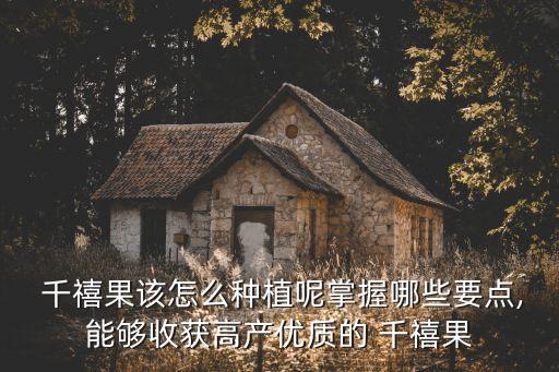 千禧果都有什么農藥,多吃千禧果有什么好處