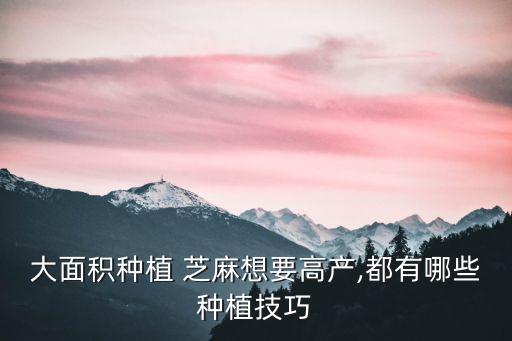 大面積種植 芝麻想要高產,都有哪些種植技巧