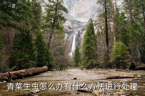 絲瓜沙蟲用什么農藥,絲瓜打什么農藥最好