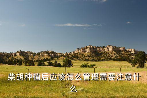  柴胡種植后應該怎么管理需要注意什么