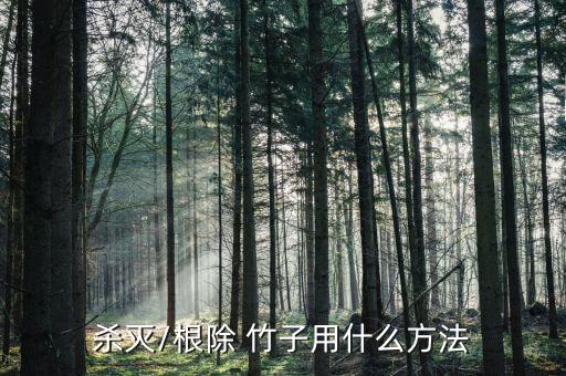 殺滅/根除 竹子用什么方法