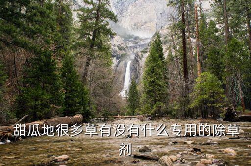  甜瓜地很多草有沒有什么專用的除草劑