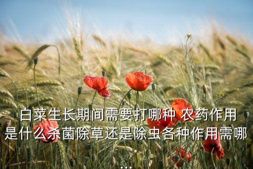  白菜生長期間需要打哪種 農藥作用是什么殺菌除草還是除蟲各種作用需哪...