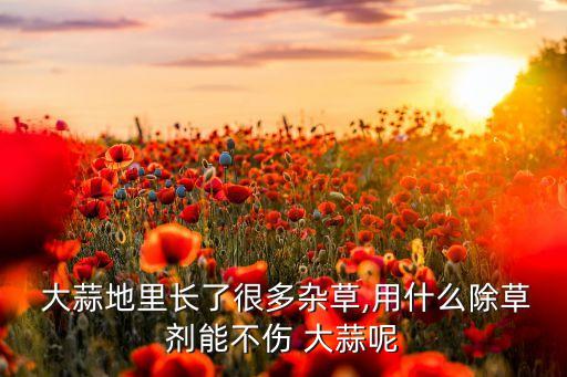  大蒜地里長(zhǎng)了很多雜草,用什么除草劑能不傷 大蒜呢