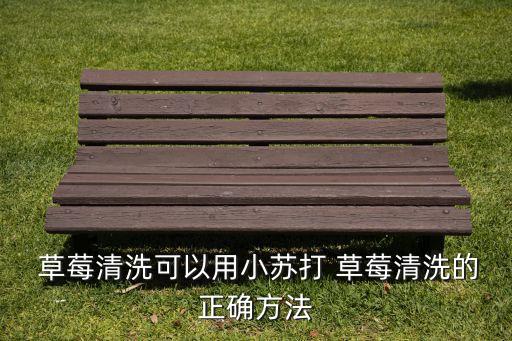  草莓清洗可以用小蘇打 草莓清洗的正確方法