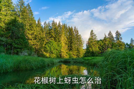 花椒芽蟲打什么農藥,花椒蚜蟲防治最佳農藥