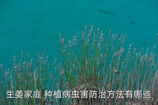 生姜家庭 種植病蟲害防治方法有哪些