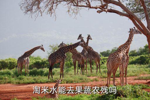 去除農藥殘留的藥品有什么,什么可以去除水果農藥殘留
