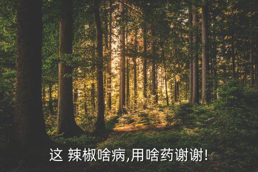 這 辣椒啥病,用啥藥謝謝!