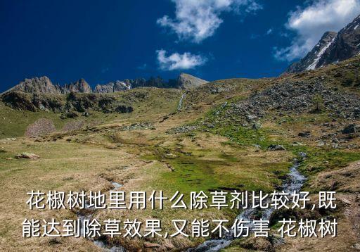  花椒樹地里用什么除草劑比較好,既能達(dá)到除草效果,又能不傷害 花椒樹