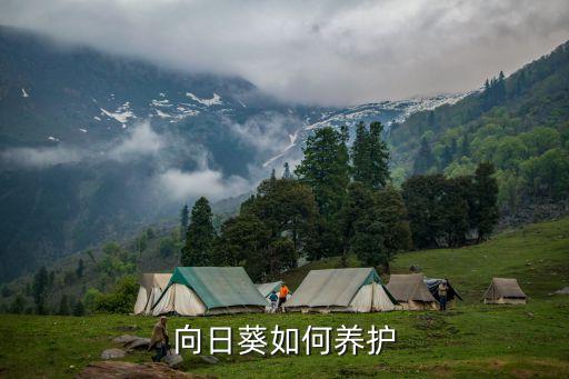 葵花不能噴什么農(nóng)藥水施肥,什么溫度不能噴農(nóng)藥