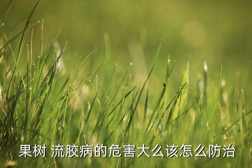 果樹流膠用什么農藥最好,果樹春季用什么農藥